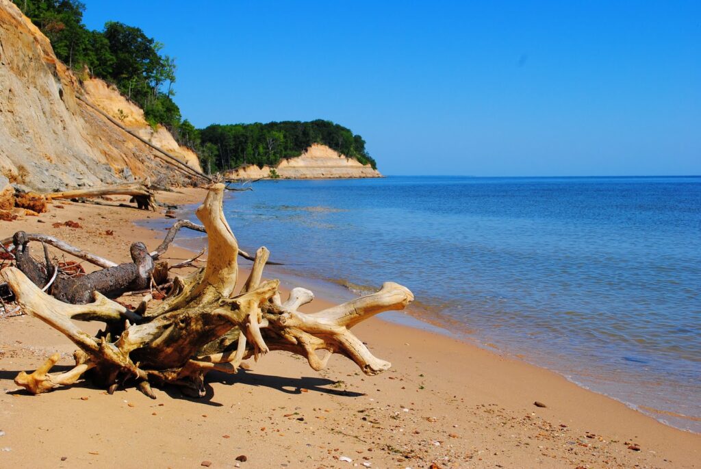 Calvert Cliffs State Park beach