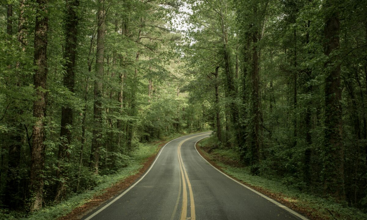 A tree-lined road in TN Photo by Jp Valery on Unsplash