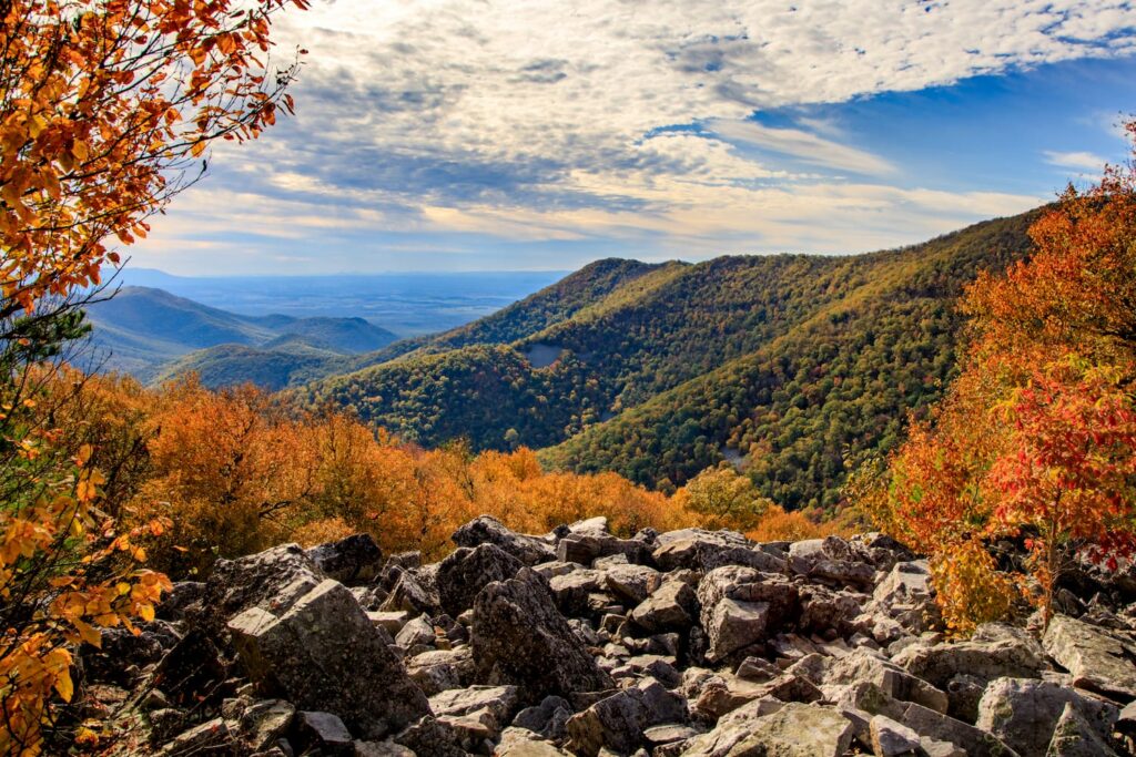 Shutterstock image of Shenandoah National Park landscape