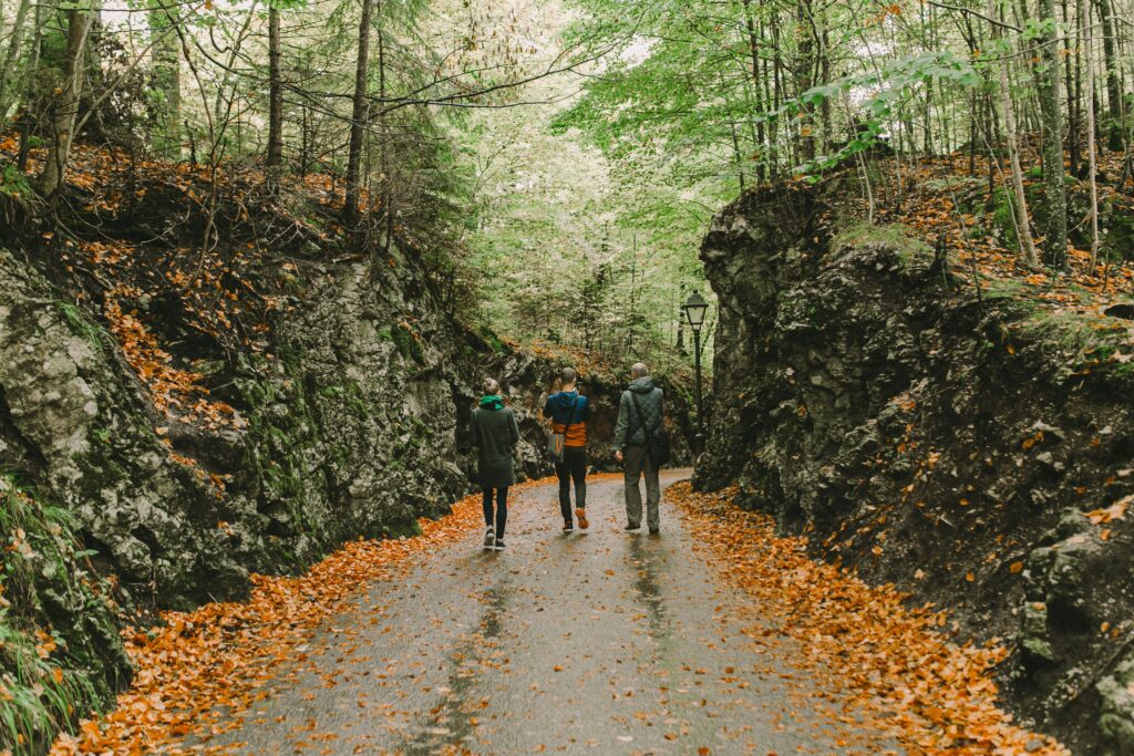 Two men and one woman hiking down a paved path between green trees and colorful, falling leaves