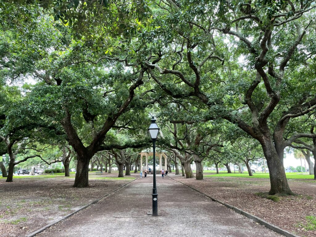 A tree-lined path in a park in Savannah, Georgia